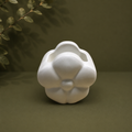Petalea